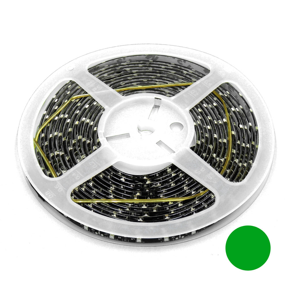 STRISCIA LED 5MT 24V 300XLED 5050 BLU