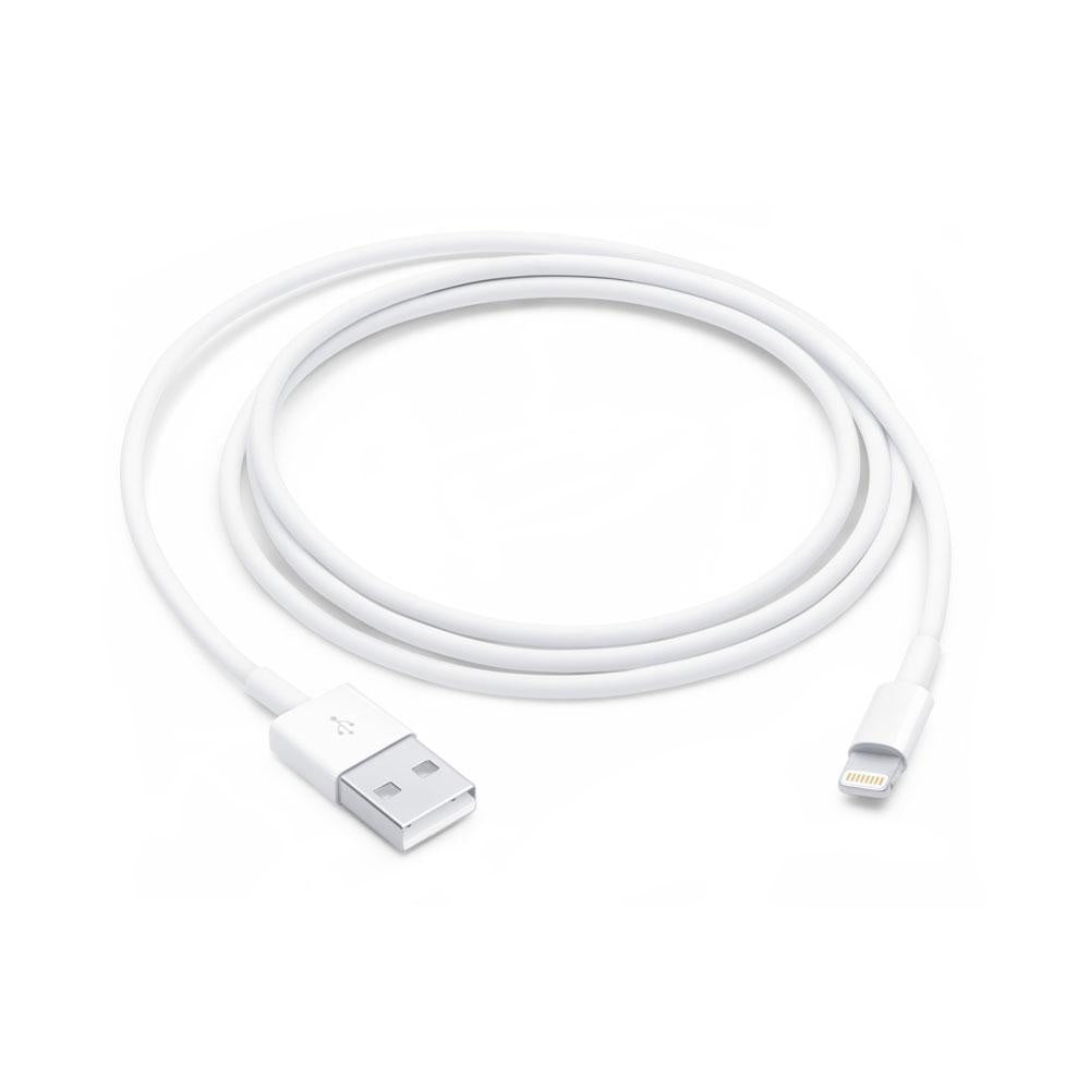 Presa doppia USB tonda alimentazione da 12/24V DC a 5V 2.1A