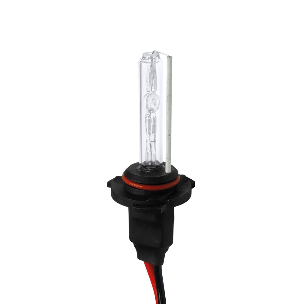 COPPIA LAMPADE XENON H1 6000K